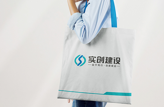 西安LOGO設(shè)計(jì)、VI設(shè)計(jì)——實(shí)創(chuàng)建設(shè)LOGO設(shè)計(jì)、VI設(shè)計(jì)
